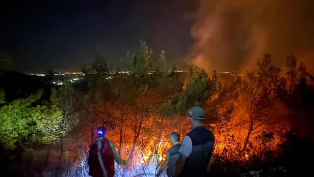 Aydın'da maki yangını (4)