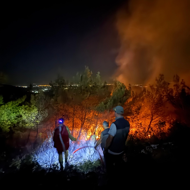 Aydın'da maki yangını (4)