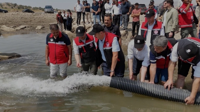 Batman'da Garzan ve Batman barajlarına 3 milyon yavru sazan bırakıldı