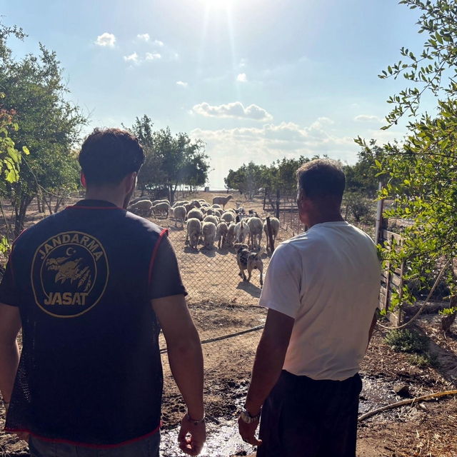 Çalınan koyunlar 50 saatlik görüntü incelenerek bulundu