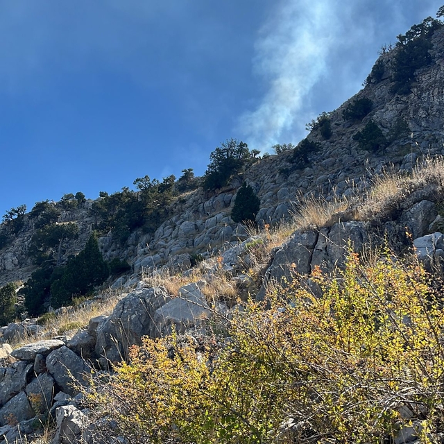 Altınyayla ilçesinde çalılık alanda yangın çıktı