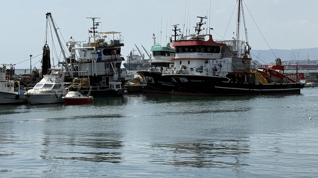 Tekirdağ'da balıkçılar poyraz nedeniyle denize açılamadı