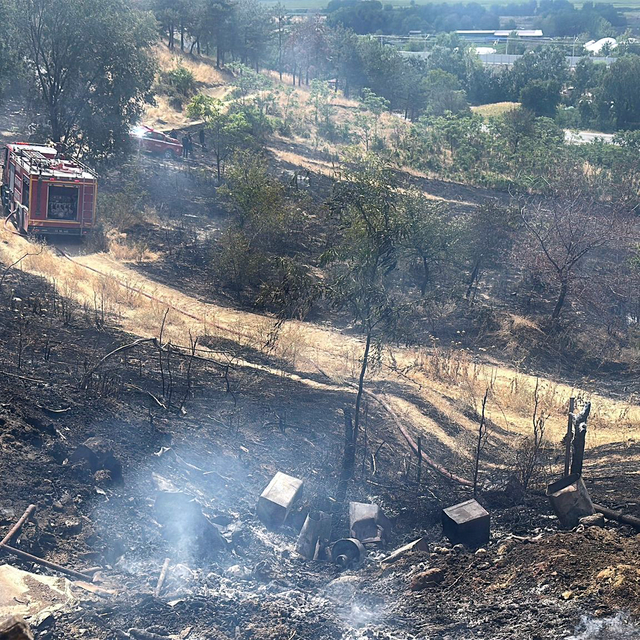 Ot yangınında alevlerin sıçradığı baraka ile 4 arı kovanı yandı
