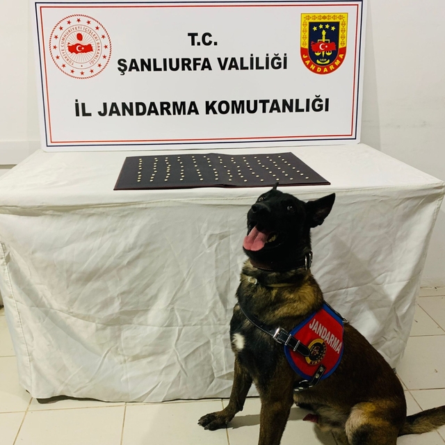 Şanlıurfa'da uyuşturucu ve silah kaçakçılığı operasyonunda 42 şüpheli yakal...