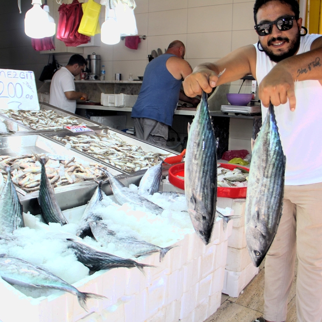 Sinop'ta bol miktarda avlanan toriklerin fiyatı 800 liraya düştü