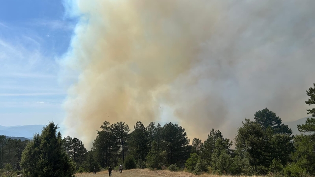Bursa'da ormanlık alanda çıkan yangına müdahale ediliyor