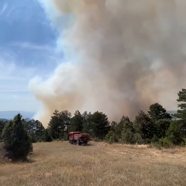 Bursa'da orman yangını