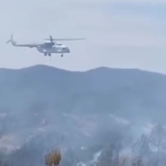 Bursa'da orman yangını (2)