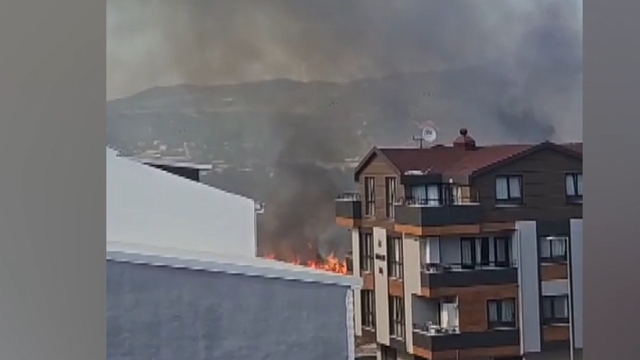 Bursa'da çamlık yangını; yerleşim yerlerine sıçramadan söndürüldü