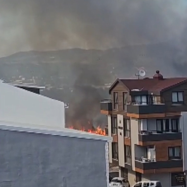 Bursa'da çamlık yangını; yerleşim yerlerine sıçramadan söndürüldü