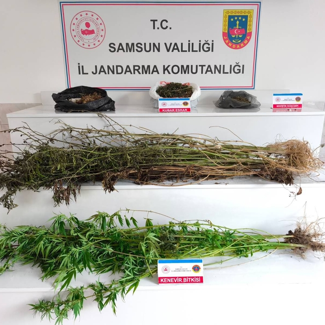 Samsun'da uyuşturucu operasyonunda 3 kişi yakalandı