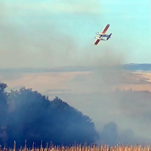Tekirdağ'da anız yangını ormana sıçradı; 3 saatte kontrol altında