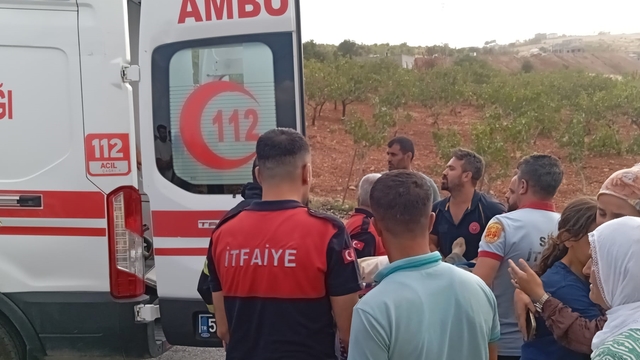 Siirt'te kamyonet ile kamyonun çarpıştığı kazada 4 kişi yaralandı