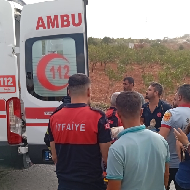 Siirt'te kamyonet ile kamyonun çarpıştığı kazada 4 kişi yaralandı