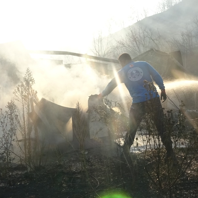 Düzce'de orman yangını (3)