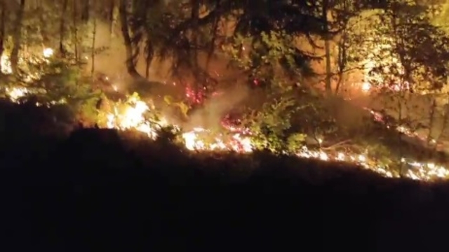 Düzce Yığılca'da orman yangını; 2 saatte kontrol altında