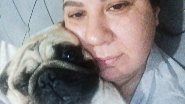 Sahibinin tatile çıkarken pet otele bıraktığı 'Alf' öldü