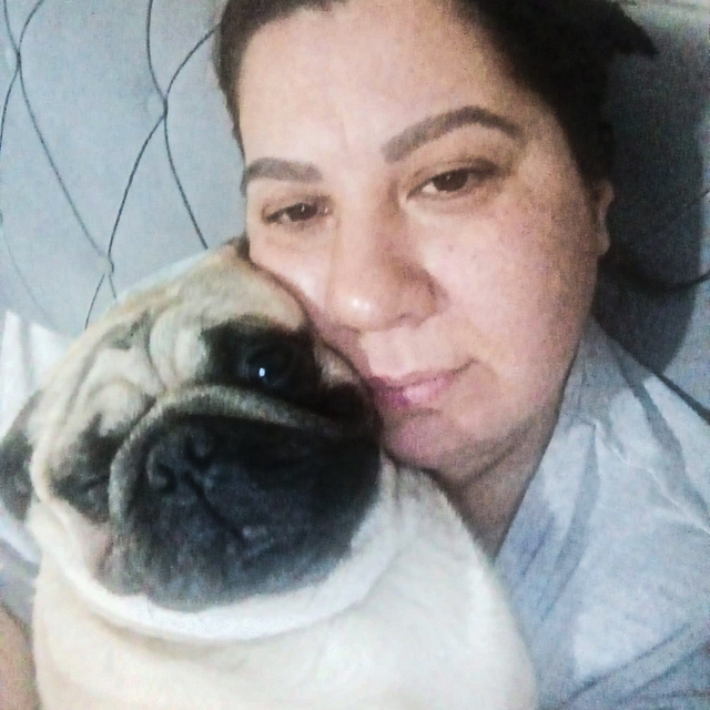 Sahibinin tatile çıkarken pet otele bıraktığı 'Alf' öldü