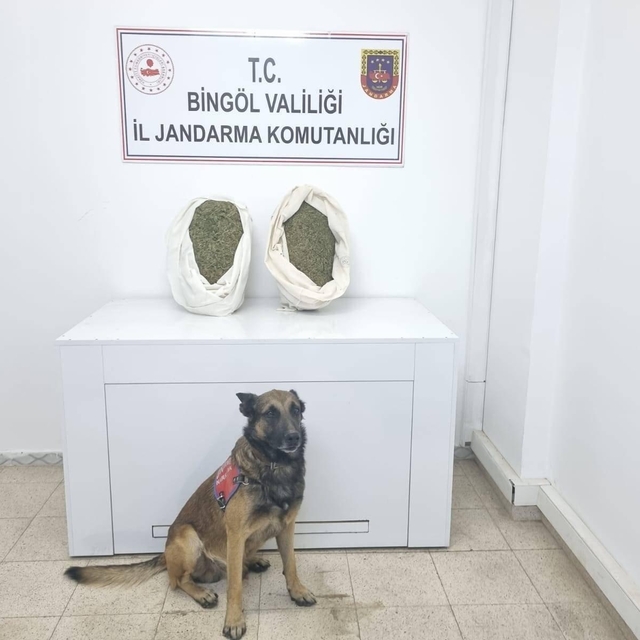 Bingöl'de 9 kilo 892 gram esrar ele geçirildi