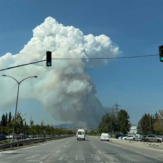 Bursa'da çıkan orman yangınına müdahale ediliyor