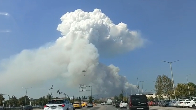 Bursa'da orman yangını