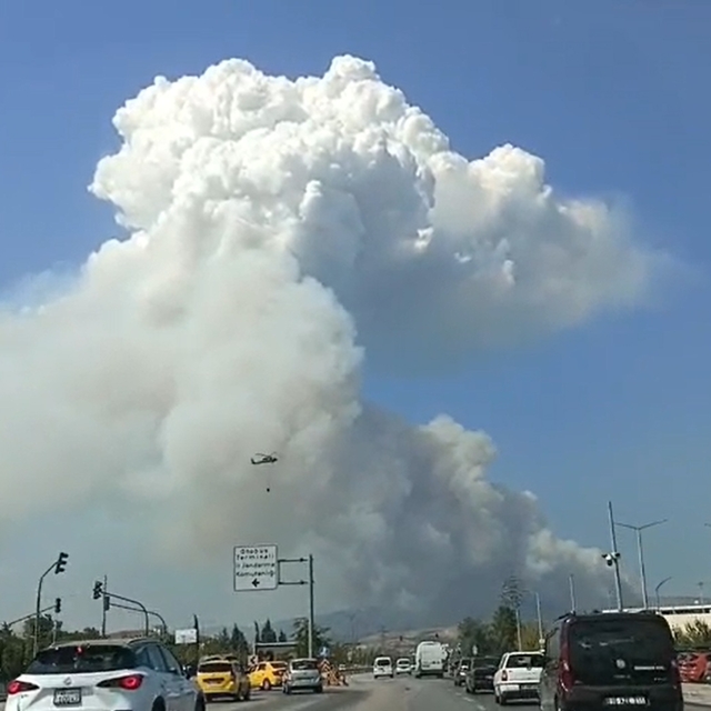 Bursa'da orman yangını