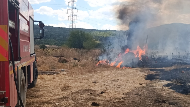Bilecik'te çiftlikte çıkan yangın söndürüldü