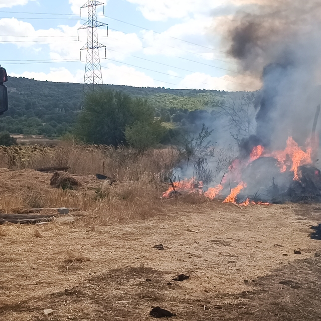 Bilecik'te çiftlikte çıkan yangın söndürüldü