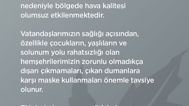 Bursa'da orman yangını (3)