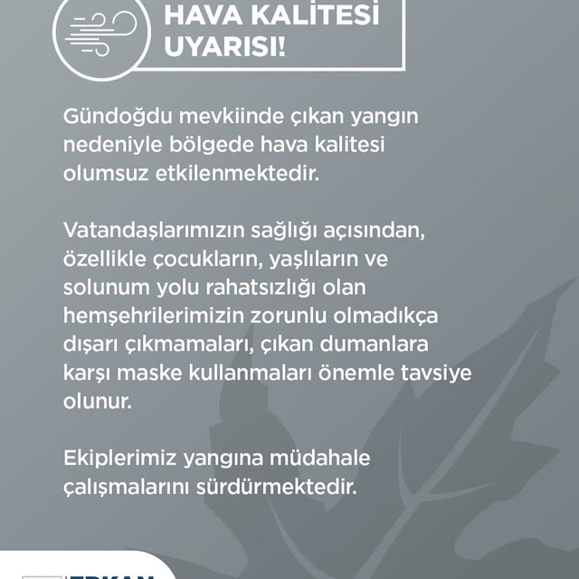 Bursa'da orman yangını (3)