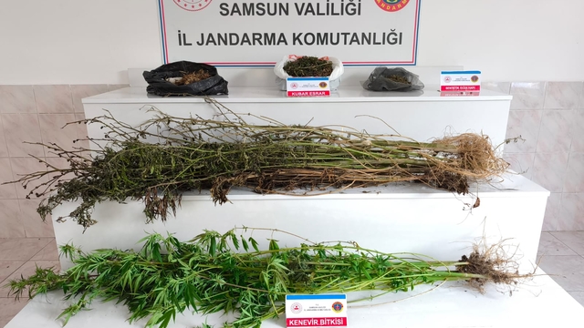 Samsun'da uyuşturucu operasyonunda yakalanan 2 zanlı tutuklandı