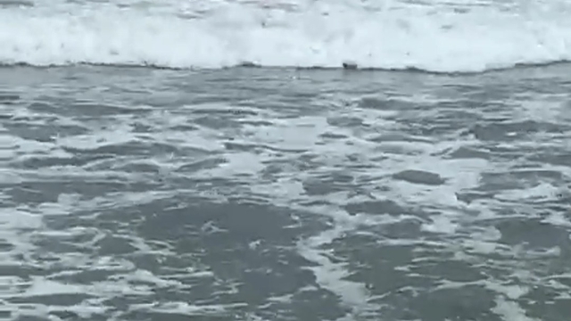 26 yıl hapisle aranan firari, denizde boğulma tehlikesi geçirince yakalandı