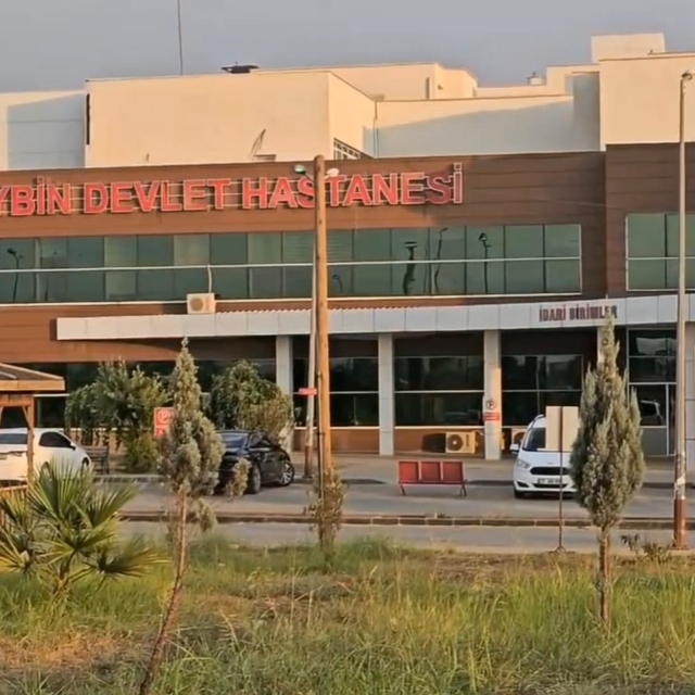 Mardin'de silahlı kavga: 2 yaralı