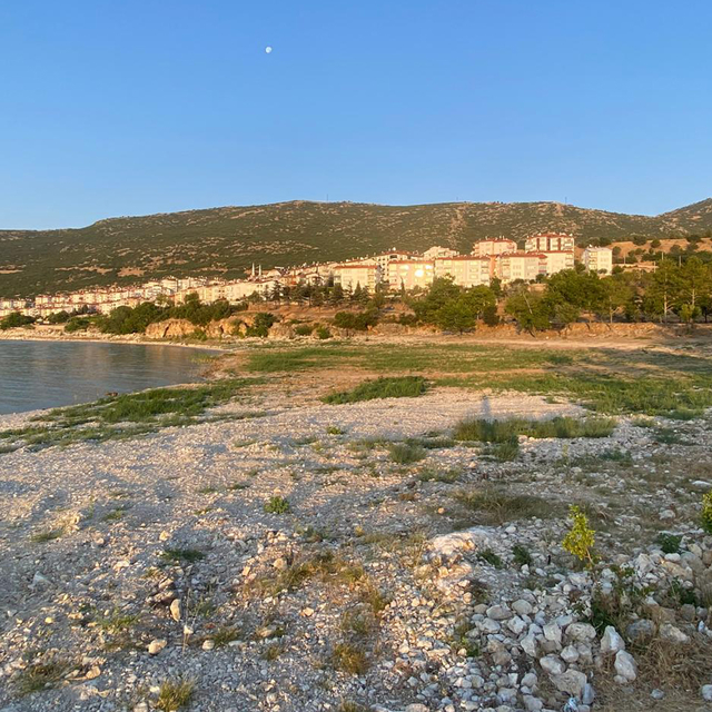 Eğirdir Gölü'nde ekolojik yıkım; sazlıkların kesilmesine tepki