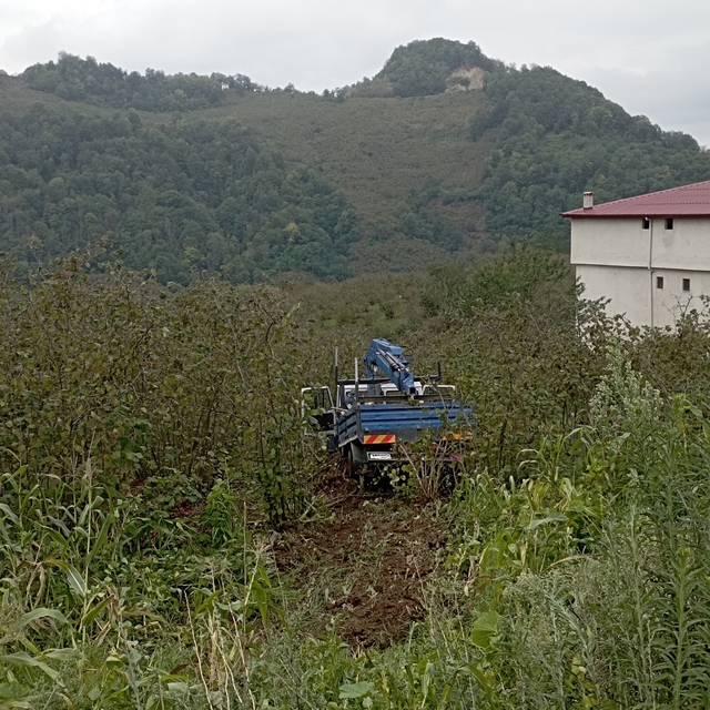 Samsun'da fındık bahçesine yuvarlanan kamyonetteki 3 kişi yaralandı