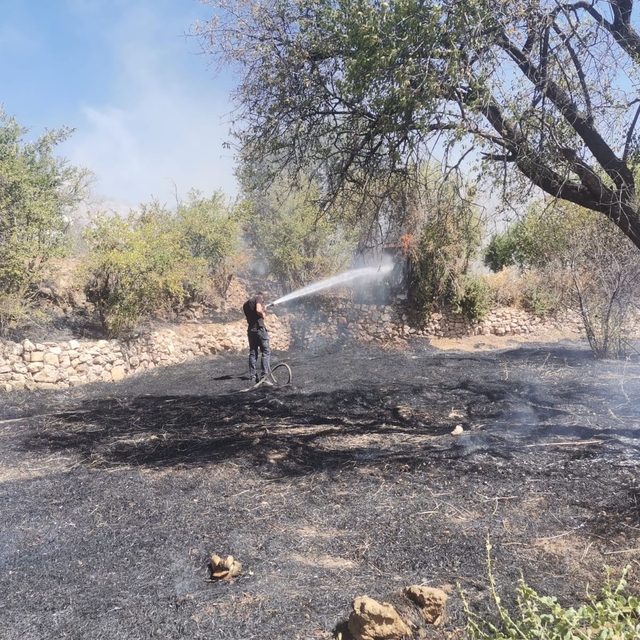 Mardin'in 2 ilçesinde örtü yangını