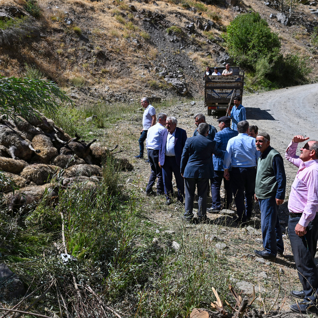 Van'da kayalık alandan düşen 334 küçükbaş hayvan telef oldu