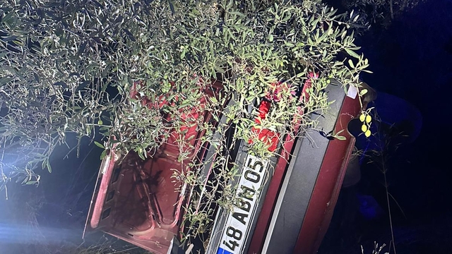 Muğla'da şarampole devrilip ağaca çarpan otomobildeki 2 kişi öldü