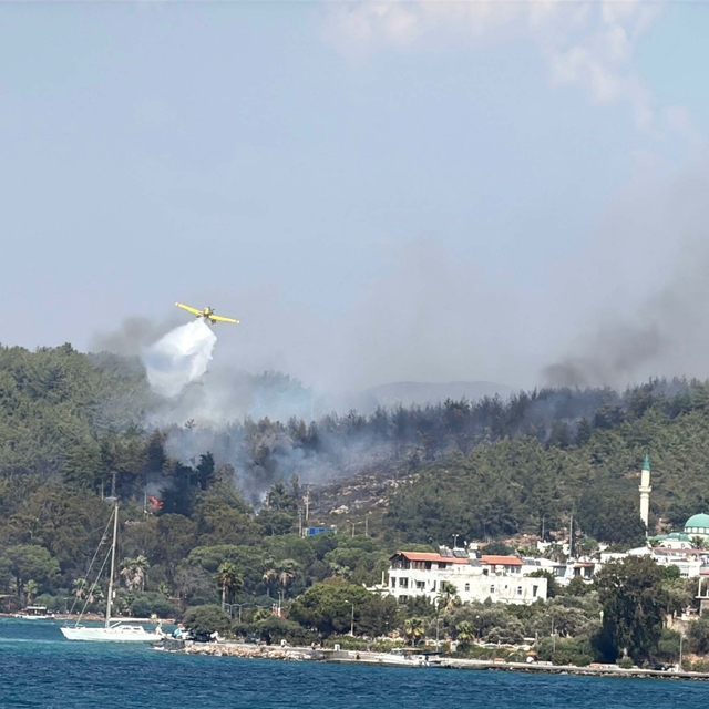 Bodrum'da orman yangını(2)