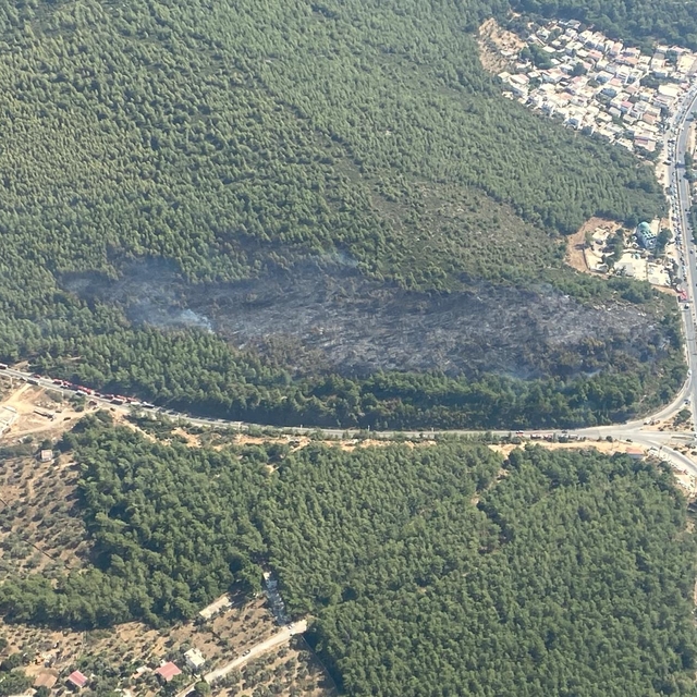 GÜNCELLEME - Bodrum'da çıkan orman yangını kontrol altına alındı