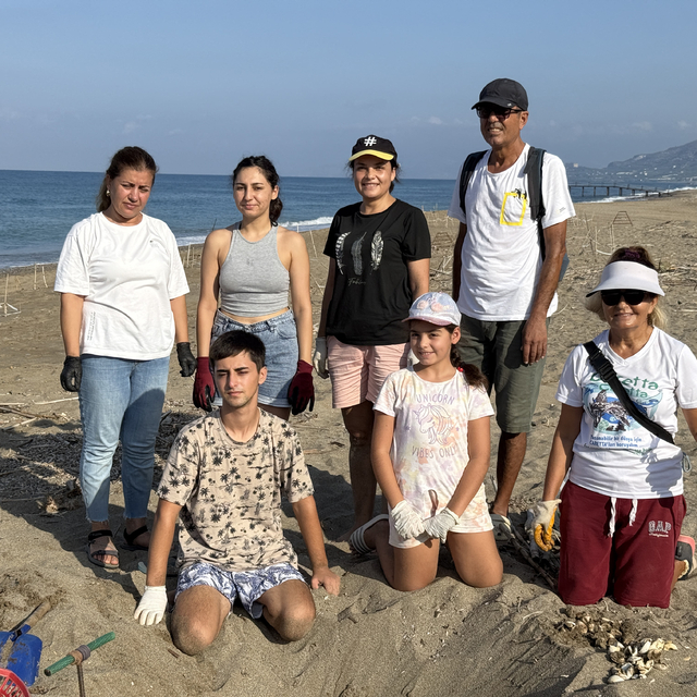 Gönüllüler, yavru kaplumbağaların denizle buluşmasına yardımcı oldu