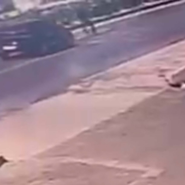 Bodrum'da otomobilin çarptığı yaya yaşamını yitirdi; o anlar kamerada