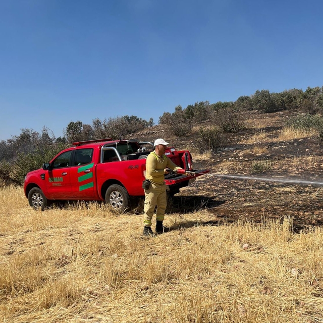Mardin'in 2 ilçesinde örtü yangını (2)