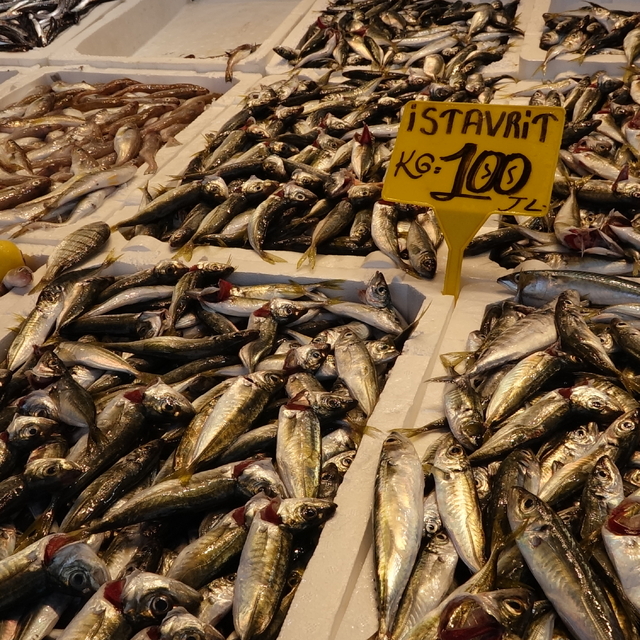 Av yasağı bitti, tezgahlar istavritle doldu