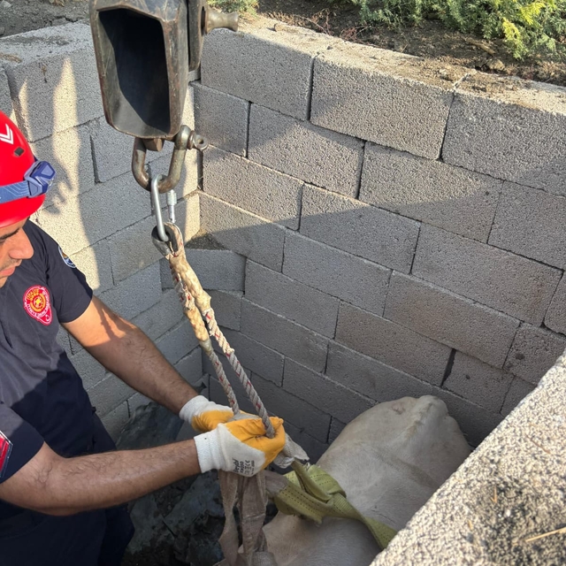 Adana'da kuyuya düşen inek kurtarıldı