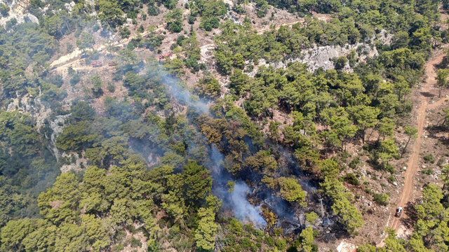 Antalya'da orman yangını (2)