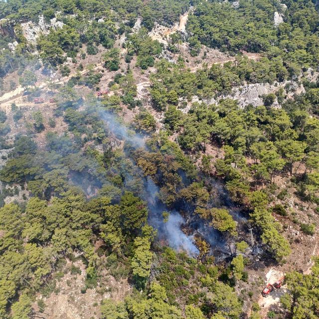Antalya'da orman yangını (2)