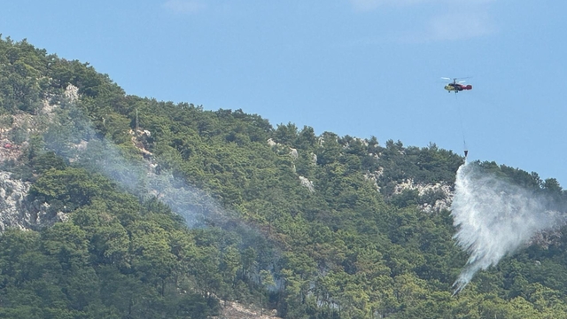 GÜNCELLEME - Antalya'da çıkan orman yangını kontrol altına alındı