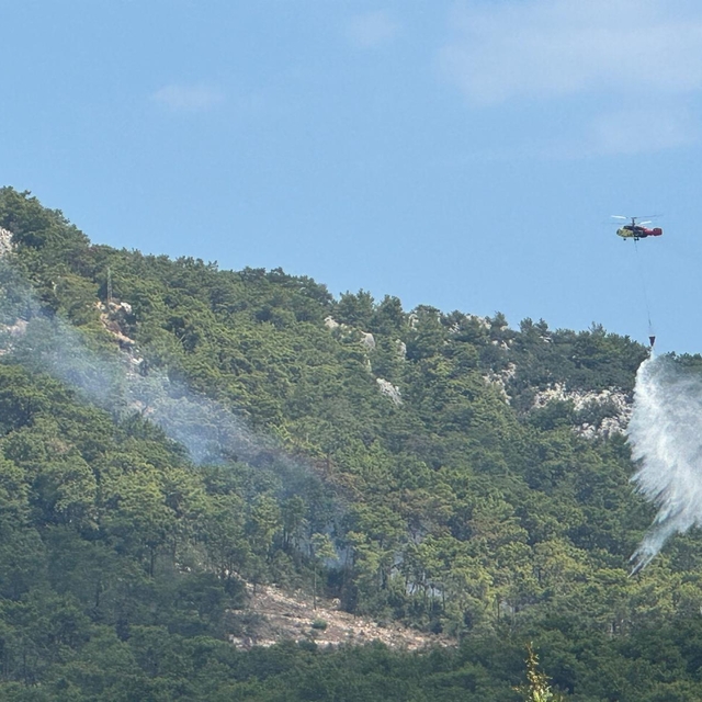 GÜNCELLEME - Antalya'da çıkan orman yangını kontrol altına alındı