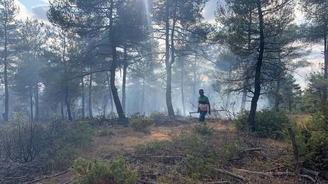 Yıldımı düşen ormanda çıkan yangında 1 hektar alan zarar gördü